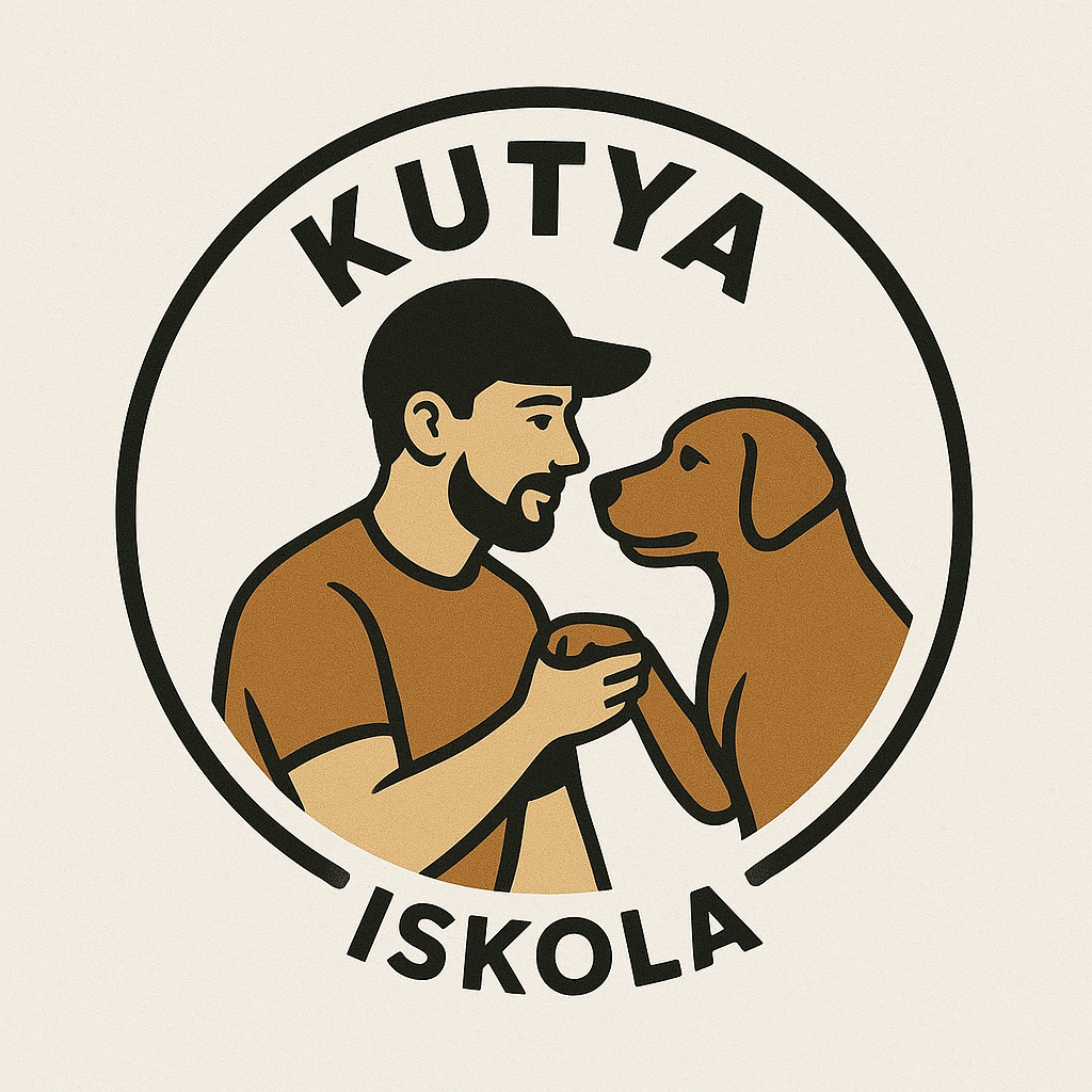 4ce2b6a2 4b00 4655 94be 4a16cc739005